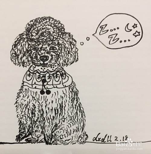 插画教程之打瞌睡的泰迪犬