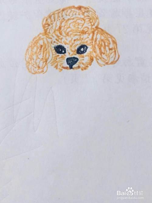 泰迪犬的简笔画教程
