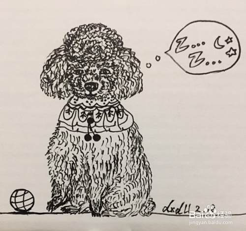 插画教程之打瞌睡的泰迪犬