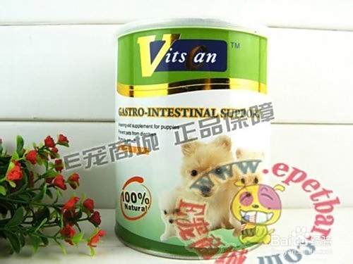 泰迪犬价格？