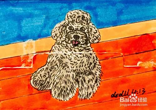插画教程之灰色泰迪犬