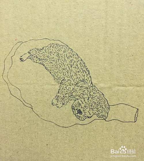 插画教程之草地上的泰迪犬