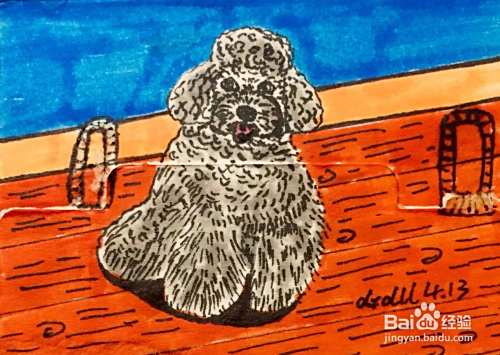 插画教程之灰色泰迪犬