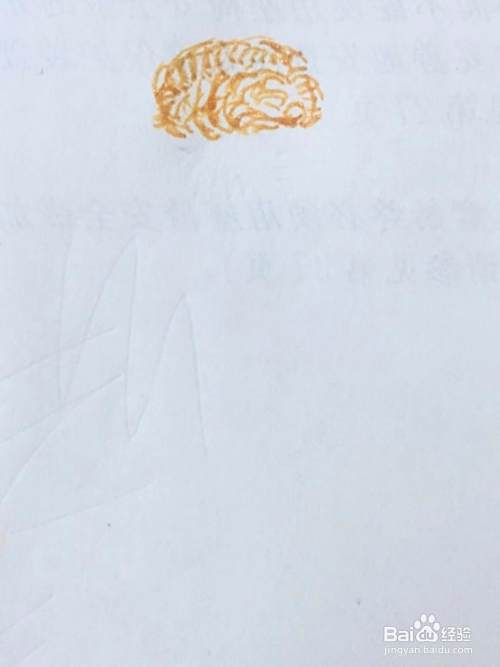 泰迪犬的简笔画教程