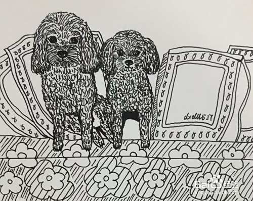 插画教程之沙发上的泰迪犬