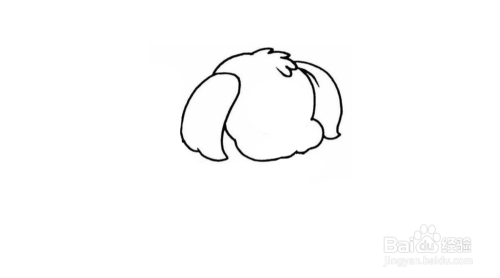泰迪犬简笔画画法