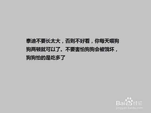 怎么“养护”泰迪犬？