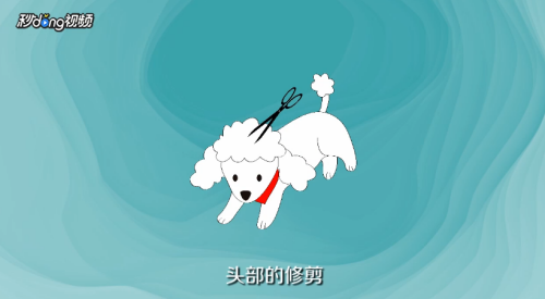 泰迪犬怎么美容