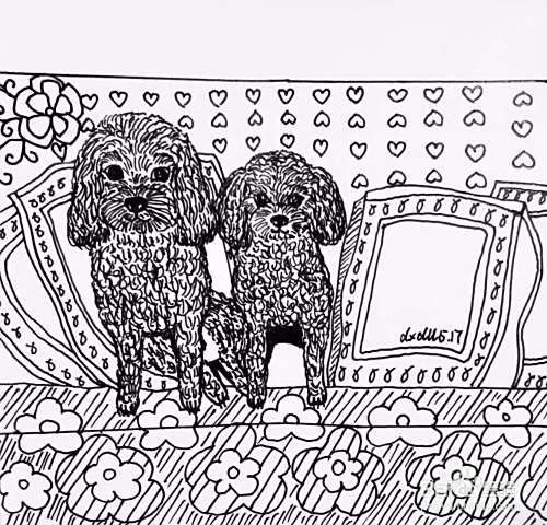 插画教程之沙发上的泰迪犬