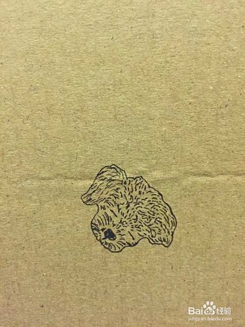 插画教程之草地上的泰迪犬