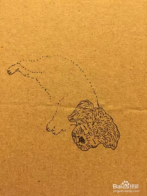 插画教程之草地上的泰迪犬