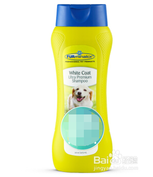 泰迪犬头部修剪教程