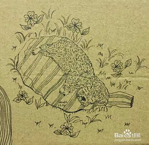 插画教程之草地上的泰迪犬