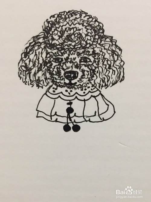 插画教程之打瞌睡的泰迪犬