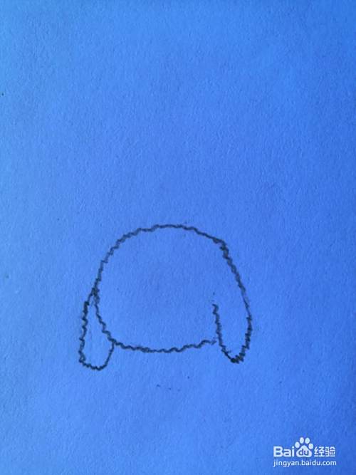 如何画泰迪犬？