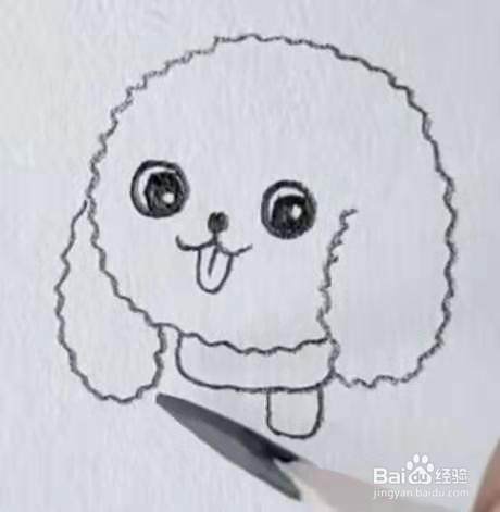 简笔画泰迪犬怎么画