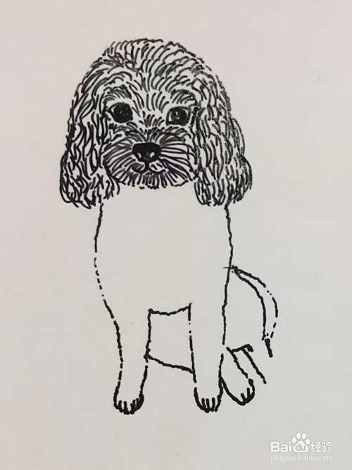 插画教程之沙发上的泰迪犬