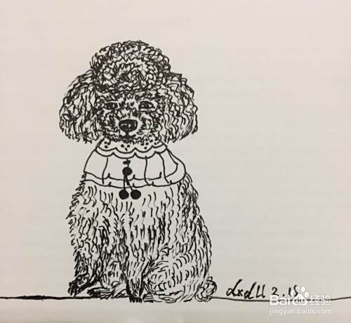 插画教程之打瞌睡的泰迪犬