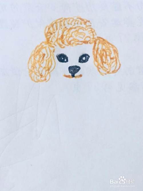 泰迪犬的简笔画教程