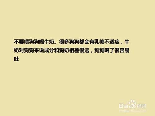 怎么“养护”泰迪犬？