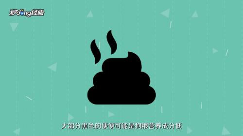 如何正确饲养泰迪犬