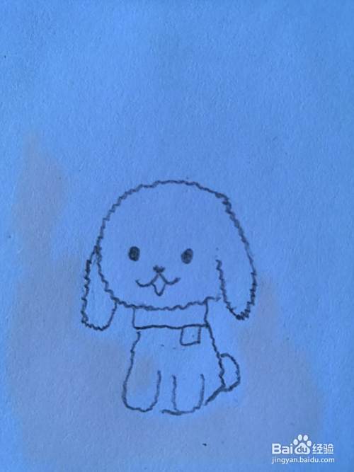 如何画泰迪犬？