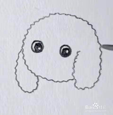 简笔画泰迪犬怎么画