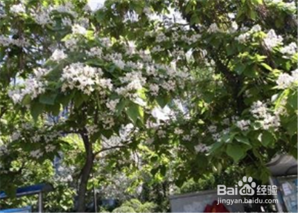房屋日照时间长，房屋热处理方法