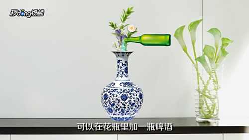 家居小妙招有哪些