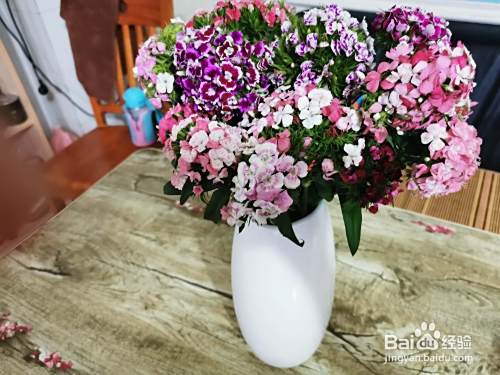实体店怎么做才会流量不断？