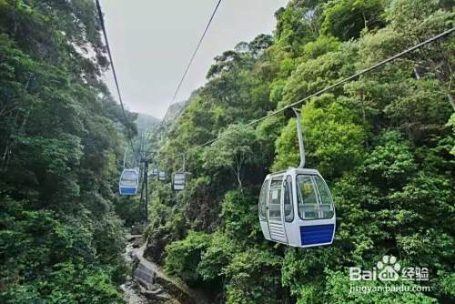 跟团旅游要注意什么 跟团旅游注意事项