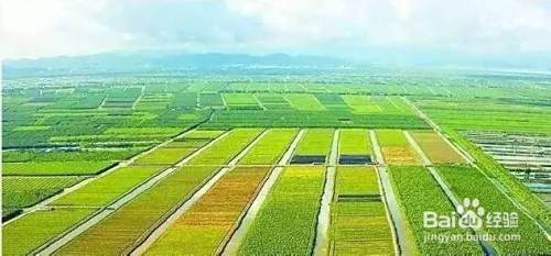 乡村旅游如何布局