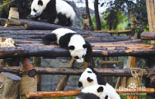 冬天旅游与夏天旅游最大的差别是什么？