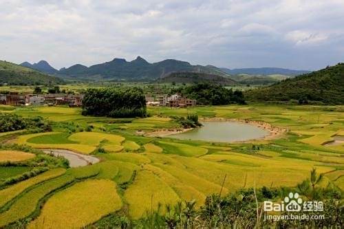 乡村旅游如何布局