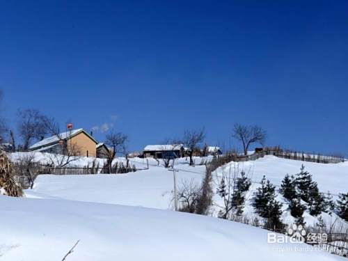 吉林雪村旅游攻略
