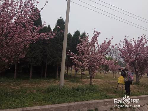 清明假期旅游攻略
