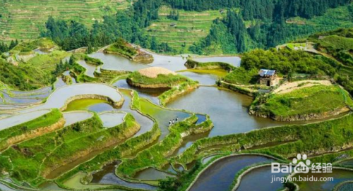跟团旅游好还是自己旅游好？
