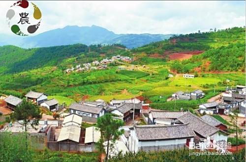 乡村旅游的开发模式