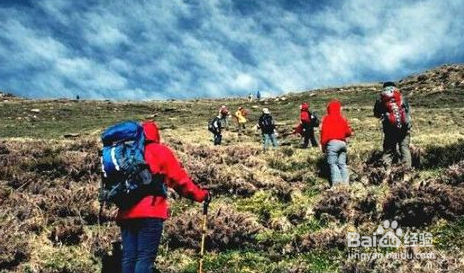过年亲子旅游攻略