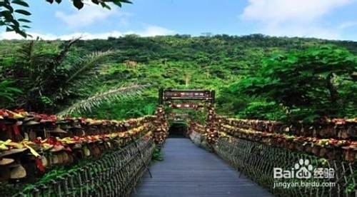 3月份适合去哪里旅游？三亚湾旅游攻略