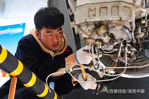 新人试用期工作总结怎么写？