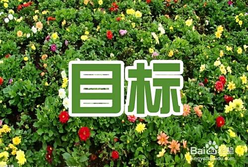 试用期工作总结怎么写