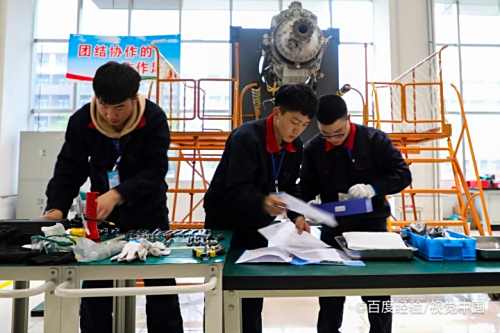 新人试用期工作总结怎么写？