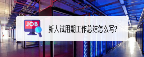 新人试用期工作总结怎么写？