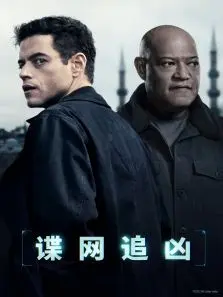 谍网追凶