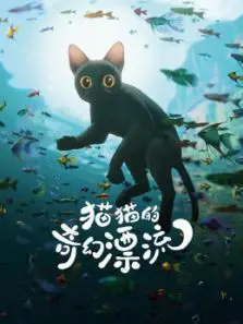 猫猫的奇幻漂流