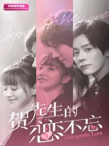 贺先生的恋恋不忘印尼语字幕版