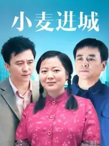 小麦进城