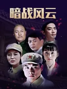 暗战风云丁海峰版