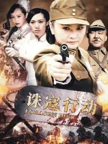 诛寇行动